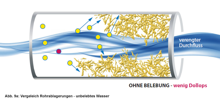 abbildung9a rohrablagerung unbelebtes wasser