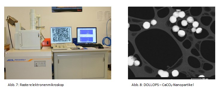 microscopio elettronico a scansione dollops immagine7 8