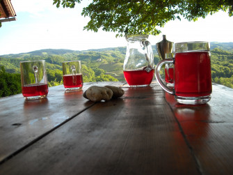 Himbeerhof Renner - Himbeeren, Wein, Kürbis und vieles mehr