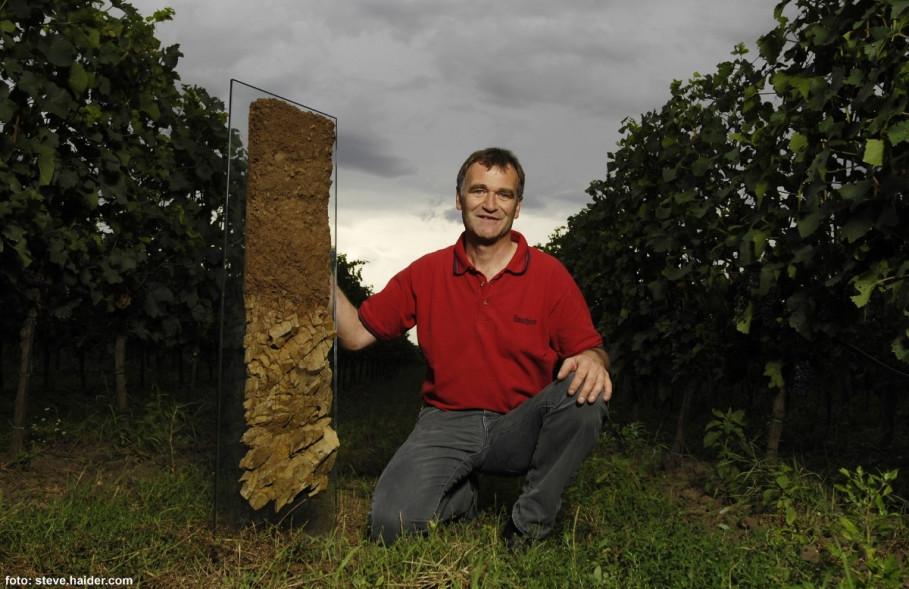 Umathum Wein - Lebensmittel für die Seele