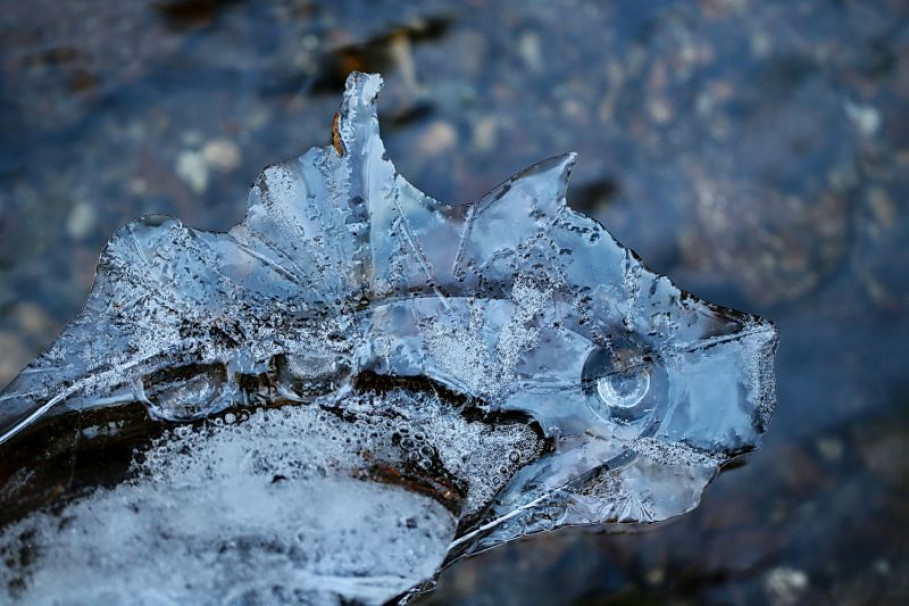 GRANDER-Wasserfoto des Monats 12/2021