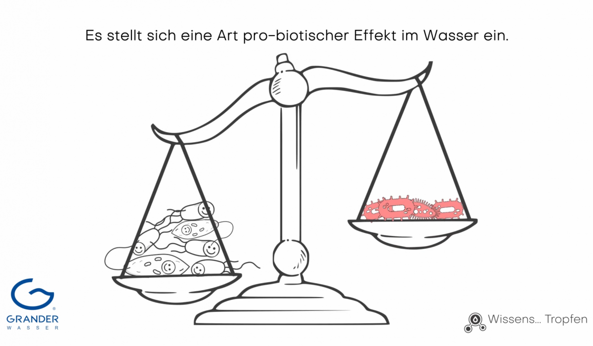 Wie sind Grander Wasserbelebungsgeräte aufgebaut?